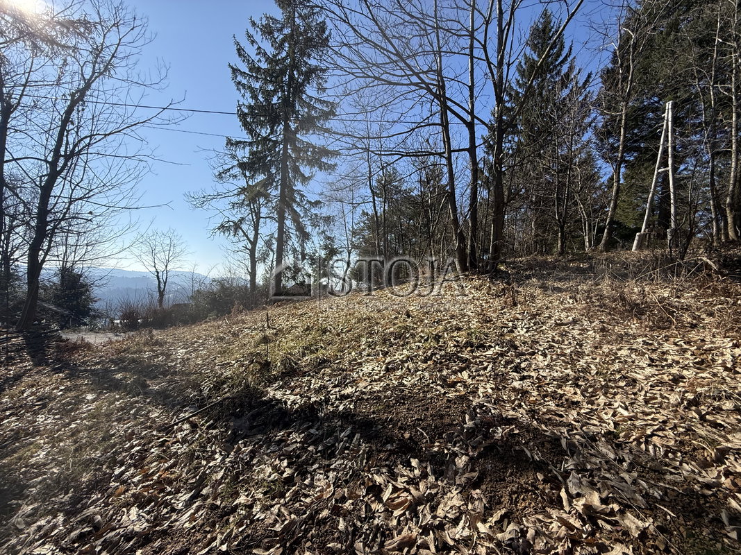 Lokacija: Ljubljana mesto, Moste-Polje, Janče