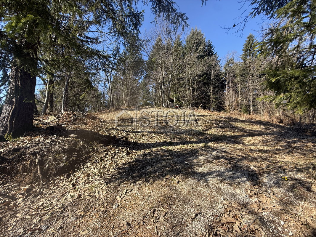 Lokacija: Ljubljana mesto, Moste-Polje, Janče