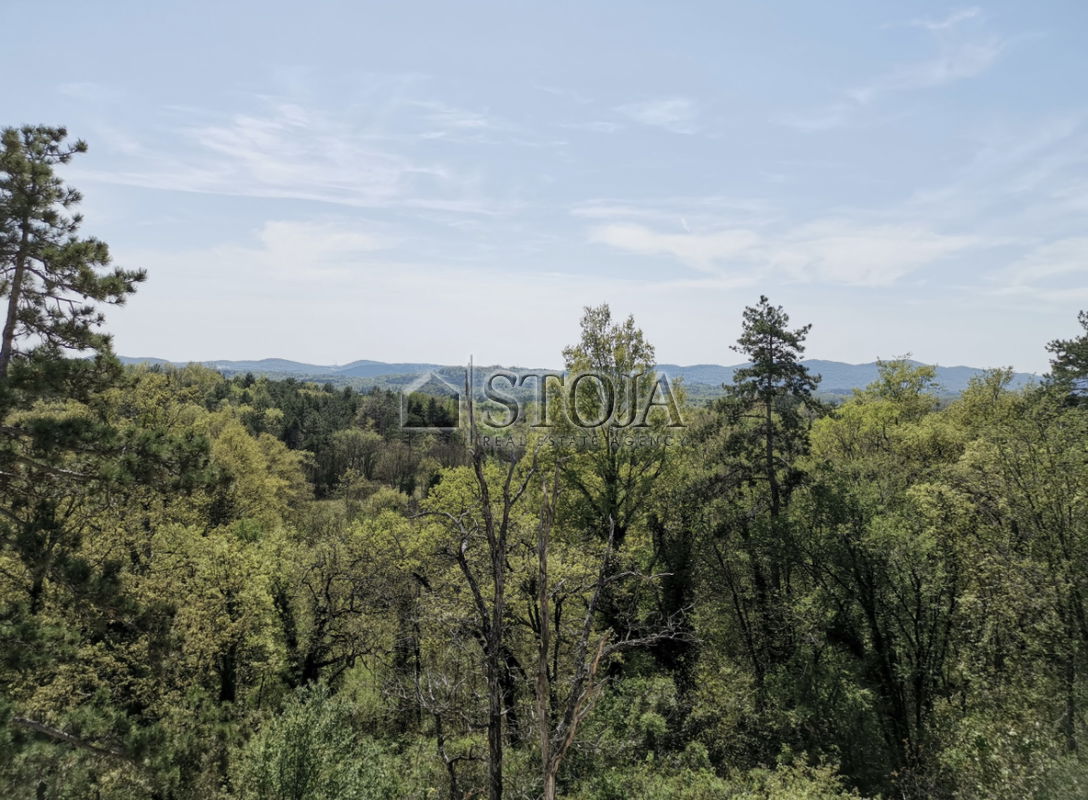 Location: Coastal-Karst, Sežana, Avber
