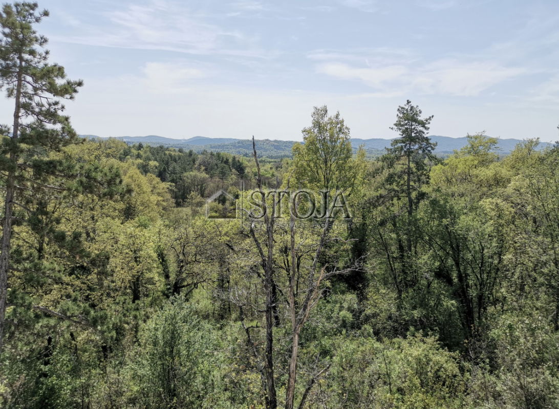 Location: Coastal-Karst, Sežana, Avber