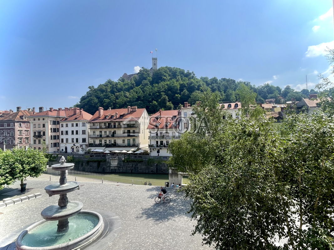 Lokacija: Ljubljana mesto, Center, Center