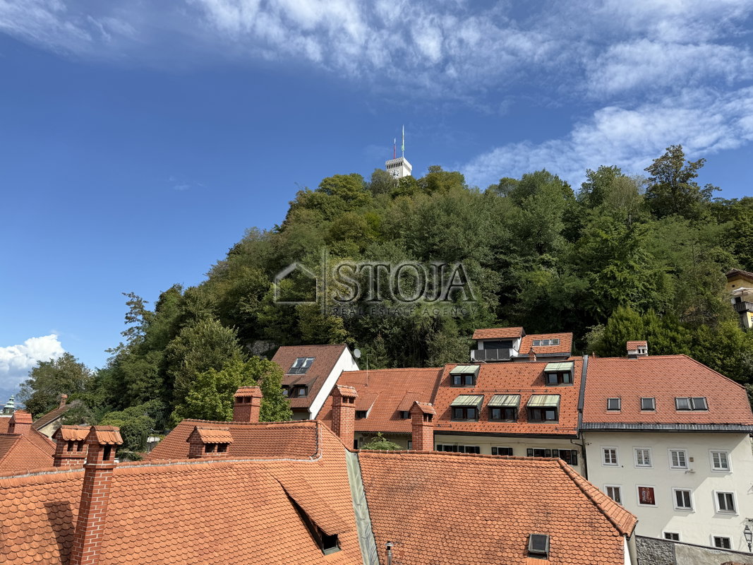 Lokacija: Ljubljana mesto, Center, Center