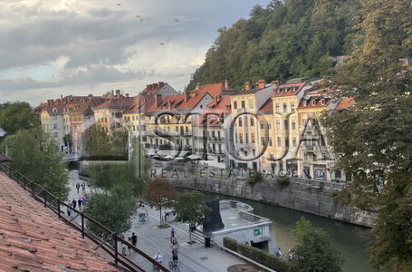 Location: Ljubljana mesto, Center, Center