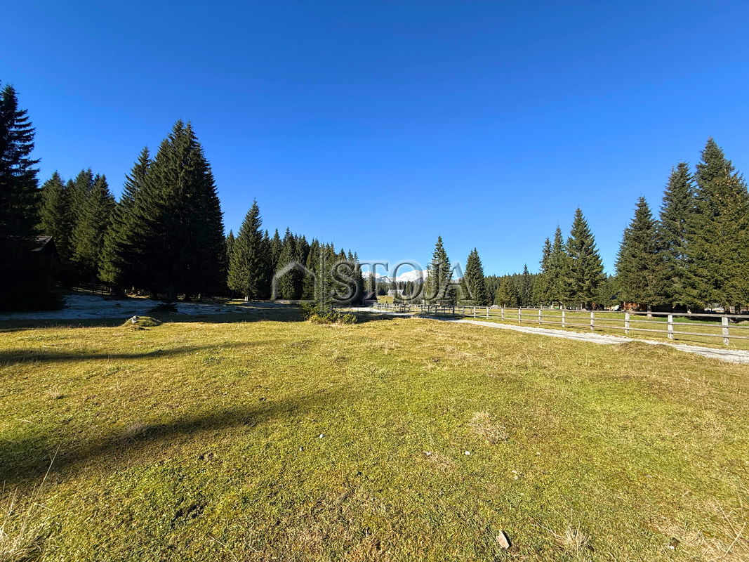 Lokacija: Gorenjska, Bohinj, Goreljek