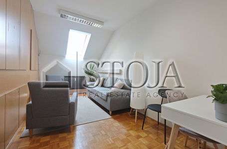Location: Ljubljana City, Vič-Rudnik, Vič