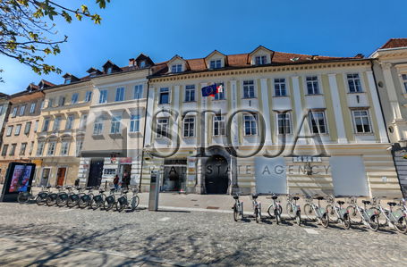 Lokacija: Ljubljana mesto, Center, Stara Ljubljana
