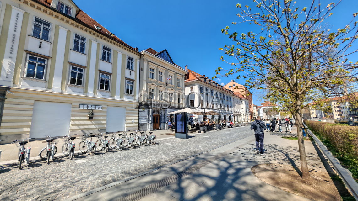 Lokacija: Ljubljana mesto, Center, Stara Ljubljana