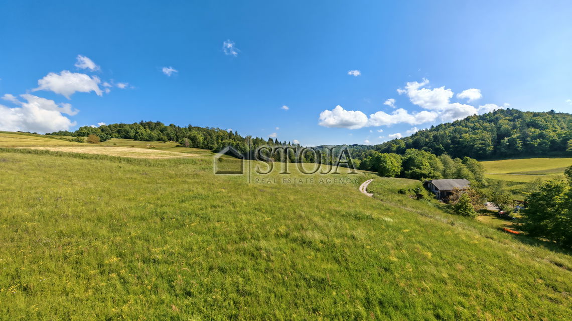 Location: Ljubljana Surroundings, Grosuplje, Šmarje - Sap