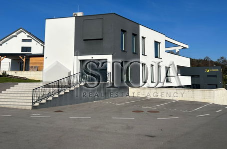 Location: Ljubljana Surroundings, Grosuplje, Grosuplje