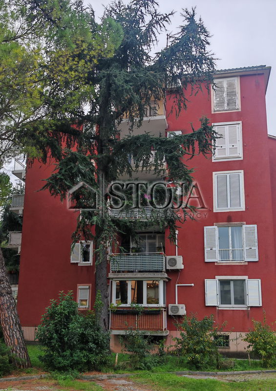 Lokacija: Obalno - kraška, Izola