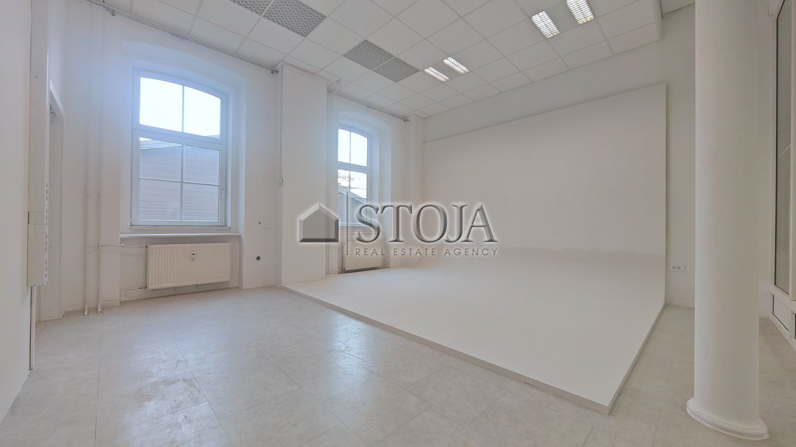 Location: Ljubljana City, Vič-Rudnik, Vič