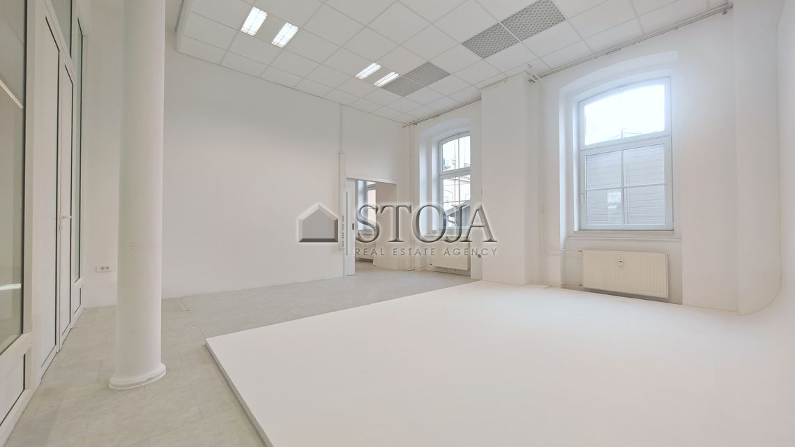 Location: Ljubljana City, Vič-Rudnik, Vič