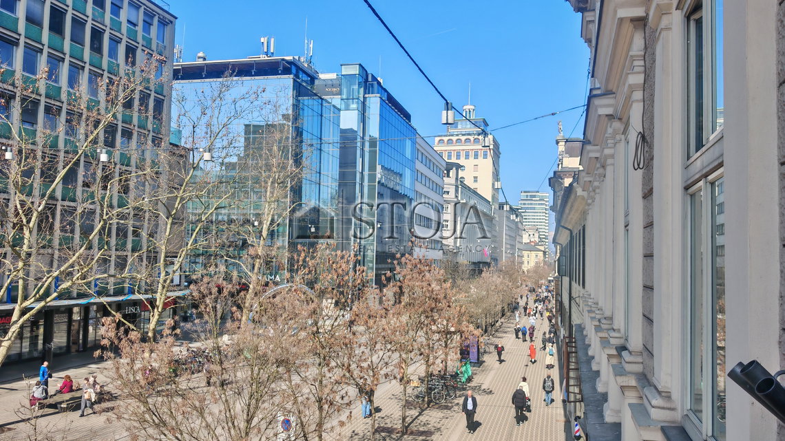 Location: Ljubljana mesto, Center, Center