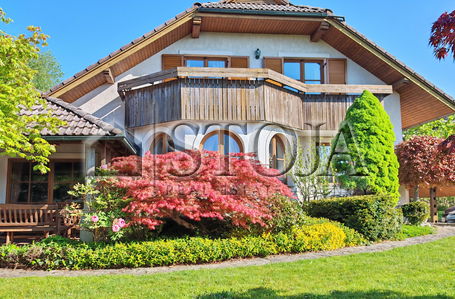 Location: Ljubljana okolica, Brezovica, Brezovica pri Ljubljani