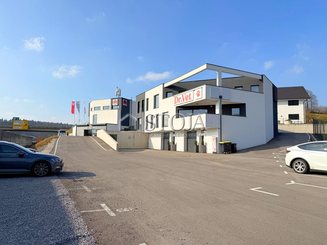 Location: Ljubljana Surroundings, Grosuplje, Grosuplje