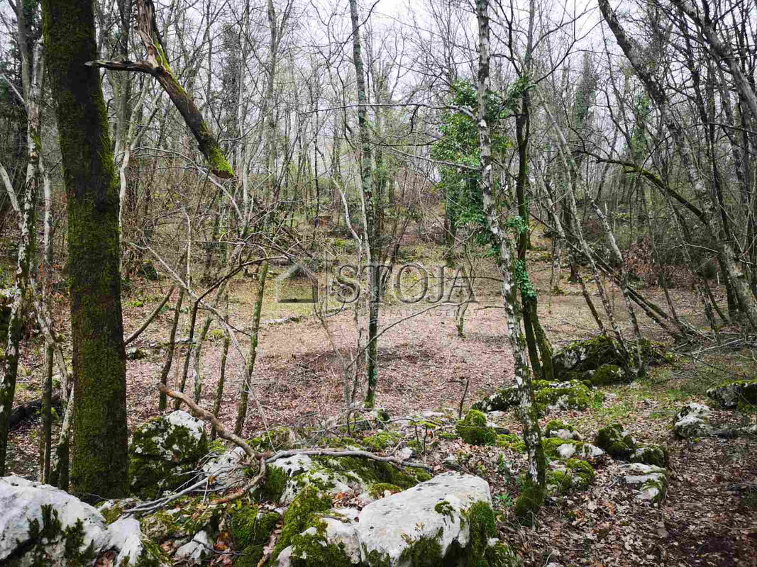 Location: Croatia, Kastav