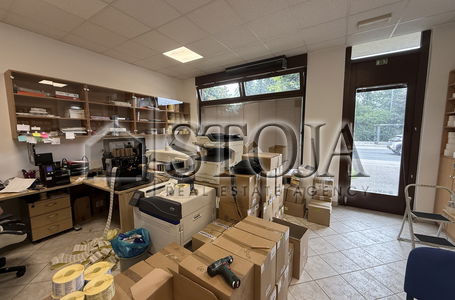 Lokacija: Ljubljana mesto, Moste-Polje, Štepanjsko naselje