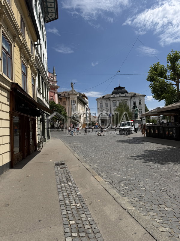 Location: Ljubljana mesto, Center, Center