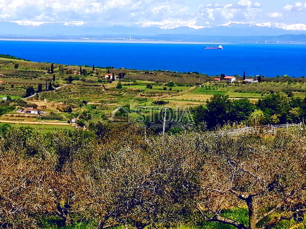 Location: Coastal-Karst, Izola