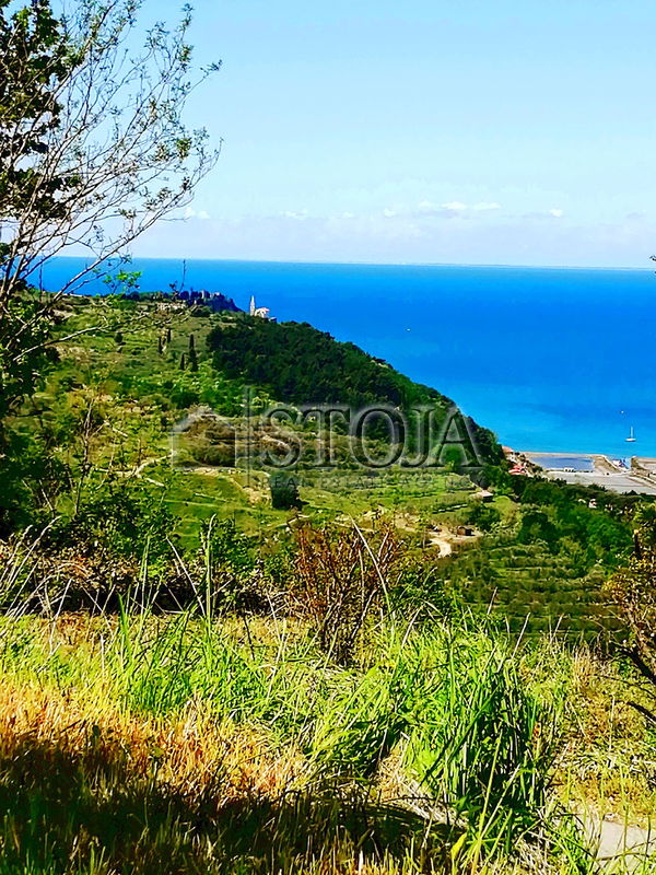 Location: Coastal-Karst, Izola