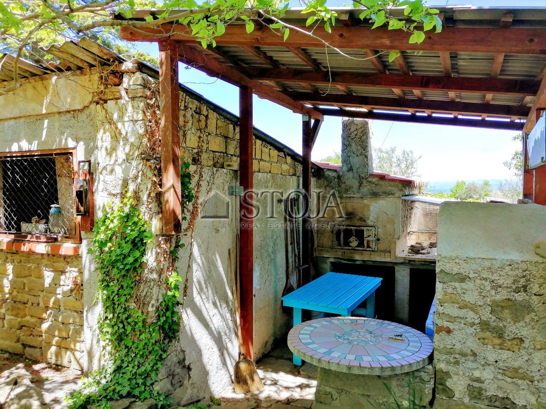 Location: Coastal-Karst, Izola