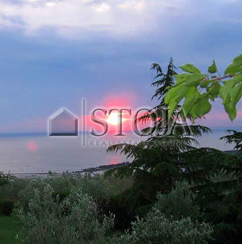 Location: Coastal-Karst, Izola