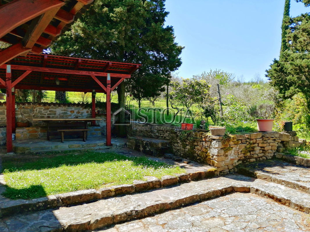 Location: Coastal-Karst, Izola