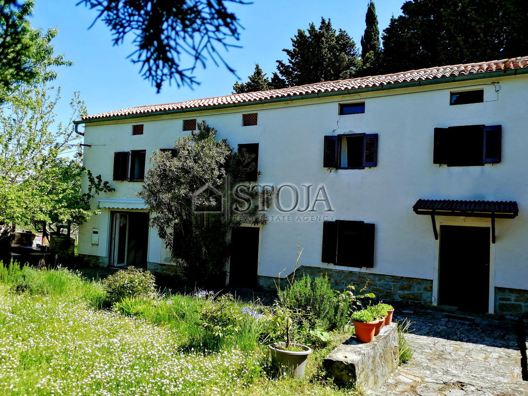 Location: Coastal-Karst, Izola