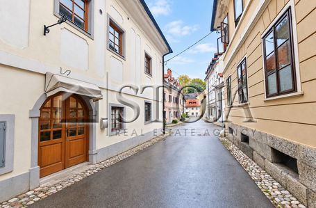 Location: Ljubljana mesto, Center
