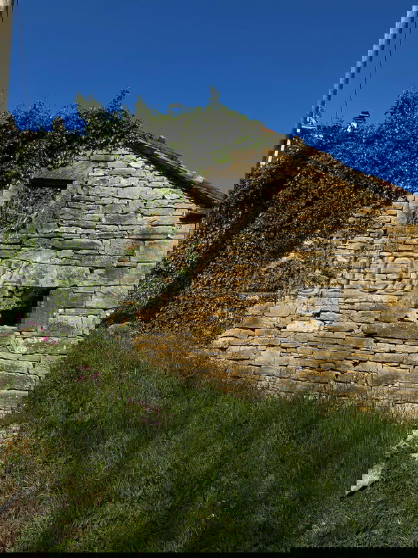 Lokacija: , Motovun