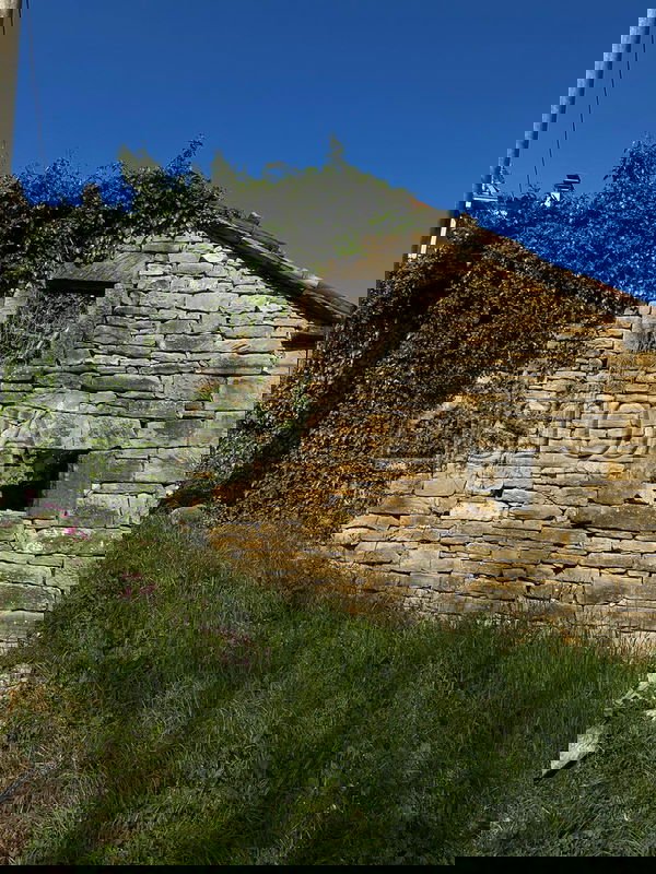 Lokacija: , Motovun