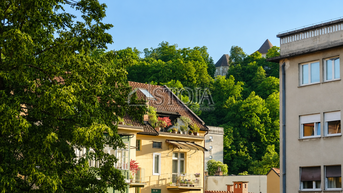 Lokacija: Ljubljana mesto, Center, Poljane