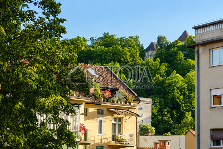 Lokacija: Ljubljana, Center, Poljane