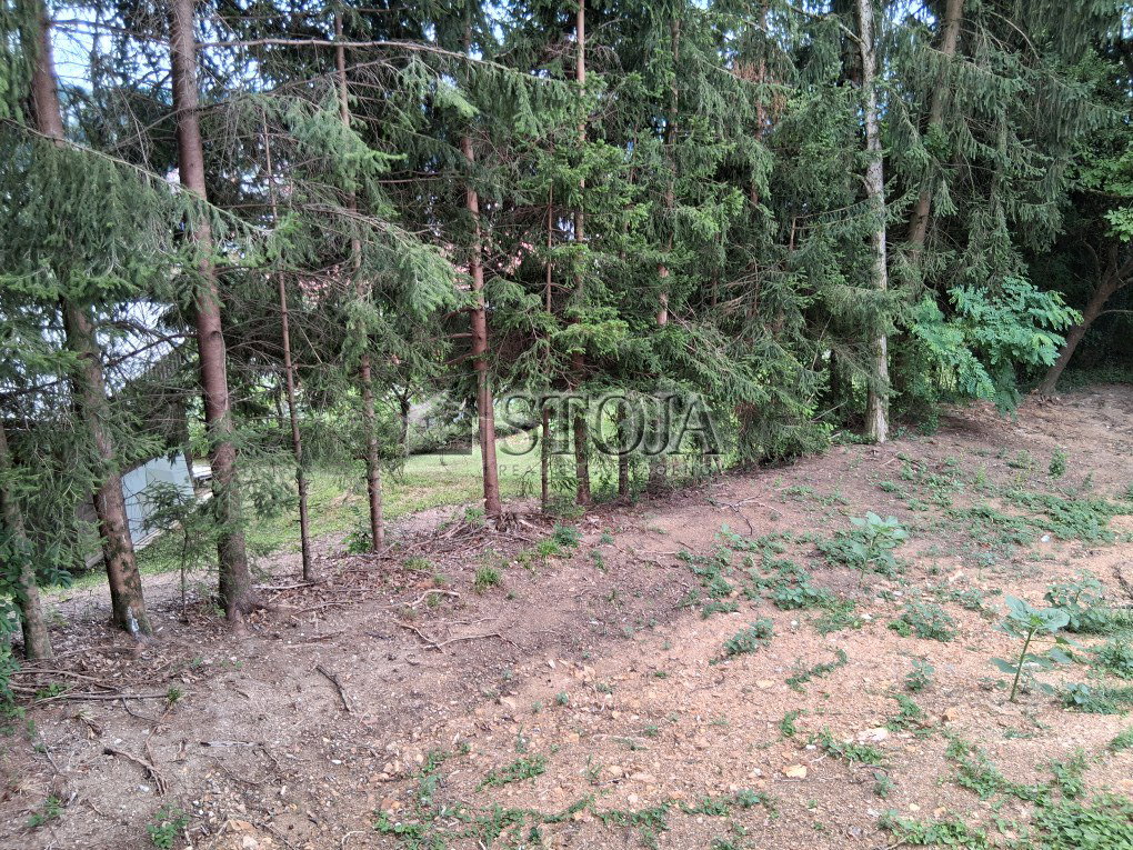 Lokacija: Ljubljana mesto, Vič-Rudnik, Rudnik