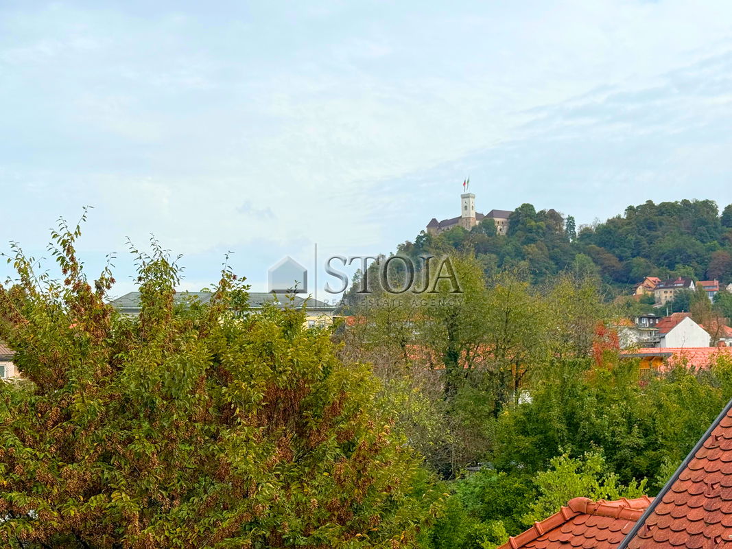 Lokacija: Ljubljana mesto, Center, Center
