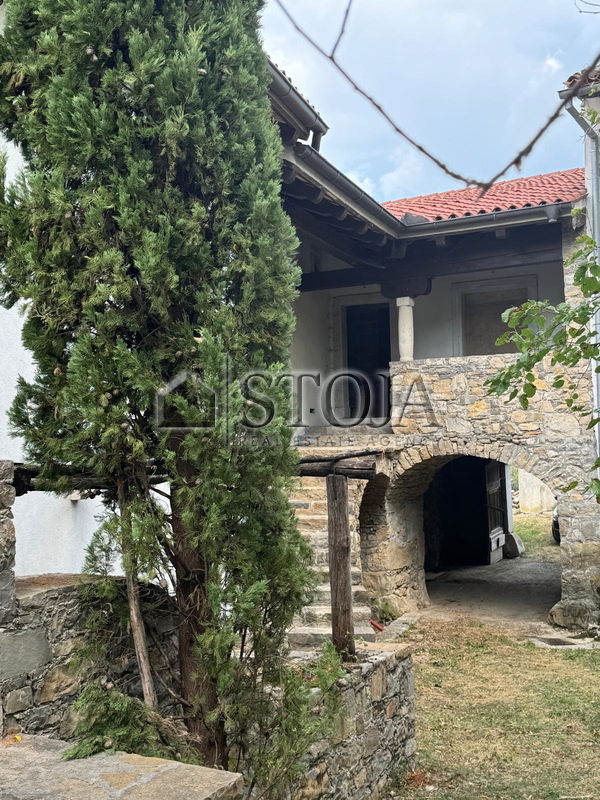 Location: Goriška, Ajdovščina, Planina