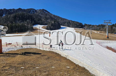 Location: Gorenjska, Kranjska Gora, Kranjska Gora
