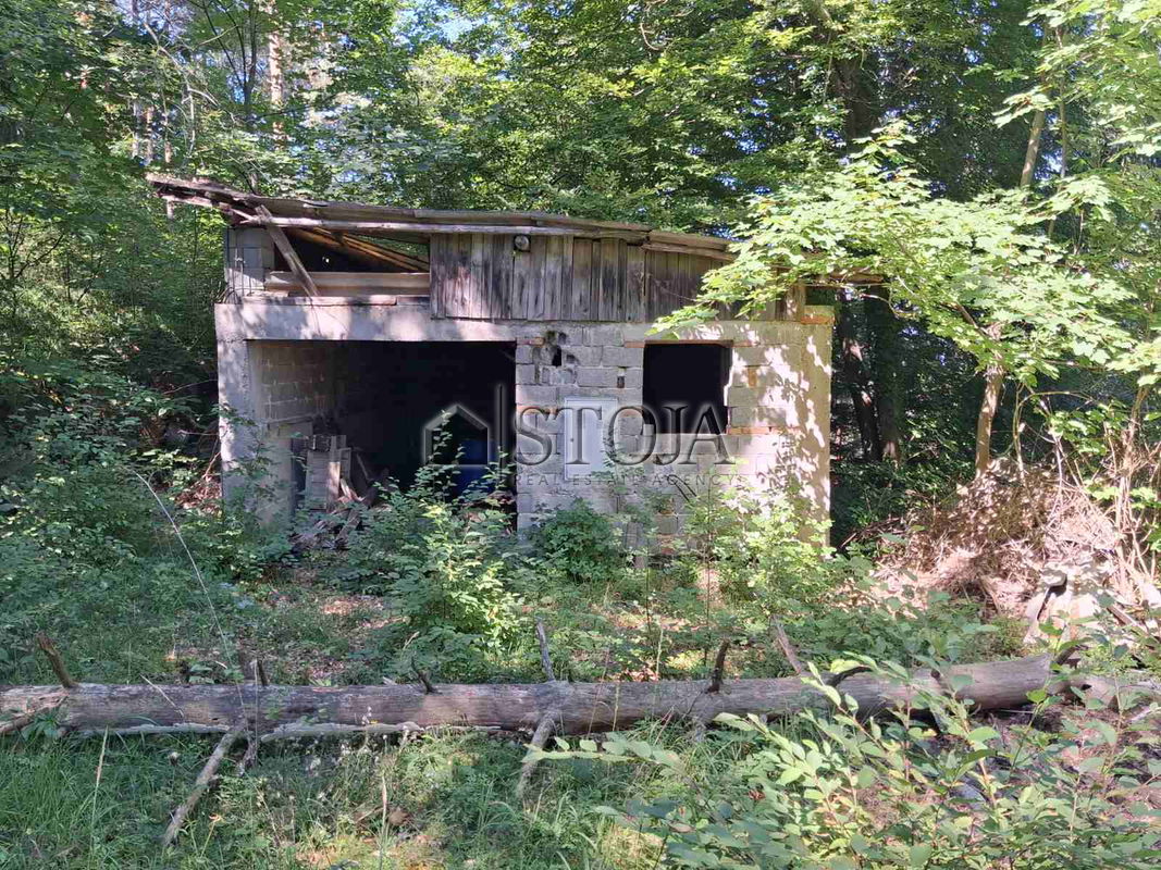 Lokacija: Ljubljana mesto, Moste-Polje, Veliko Trebeljevo