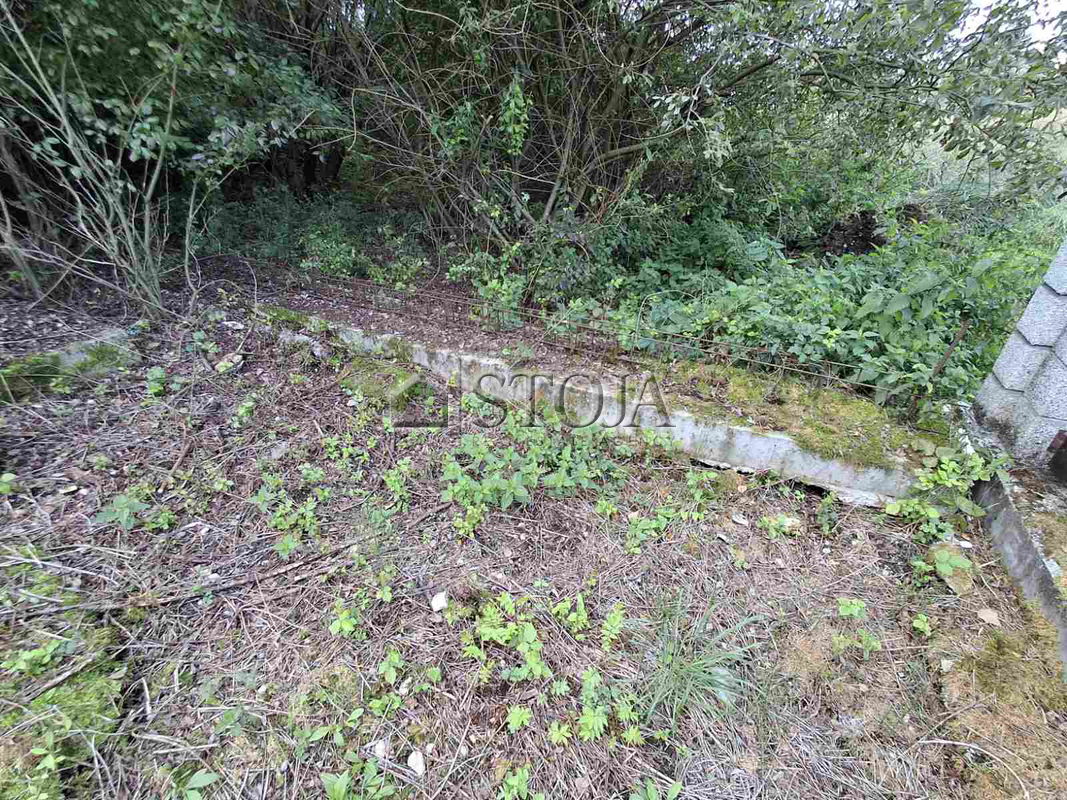 Lokacija: Ljubljana mesto, Vič-Rudnik, Rakova Jelša