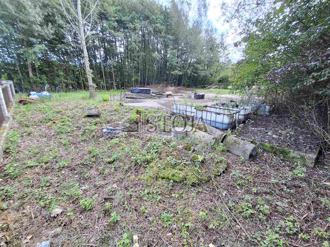 Lokacija: Ljubljana mesto, Vič-Rudnik, Rakova Jelša