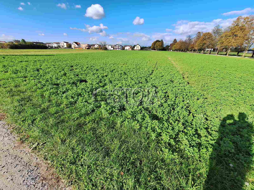 Location: Ljubljana City, Moste-Polje, Sp. Hrušica