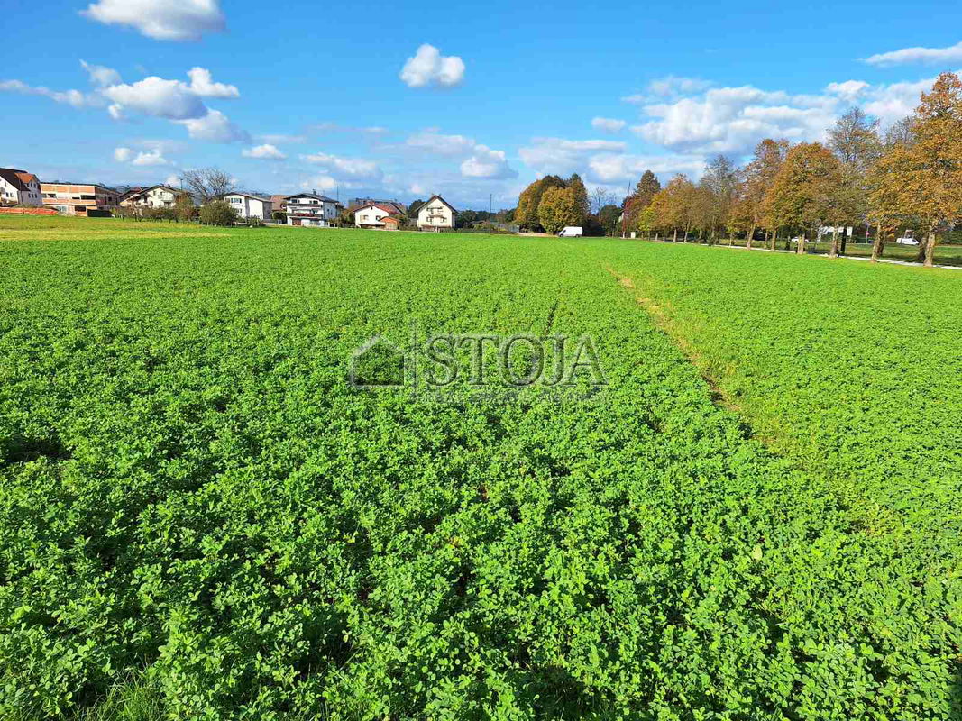 Location: Ljubljana City, Moste-Polje, Sp. Hrušica
