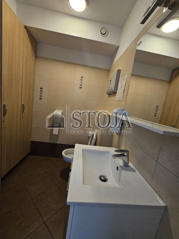 Location: Ljubljana mesto, Vič-Rudnik, Rudnik