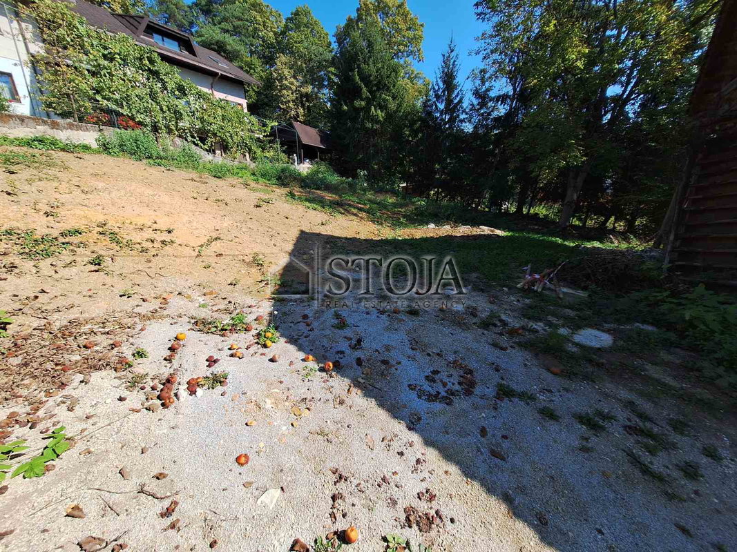 Location: Ljubljana mesto, Vič-Rudnik, Rudnik