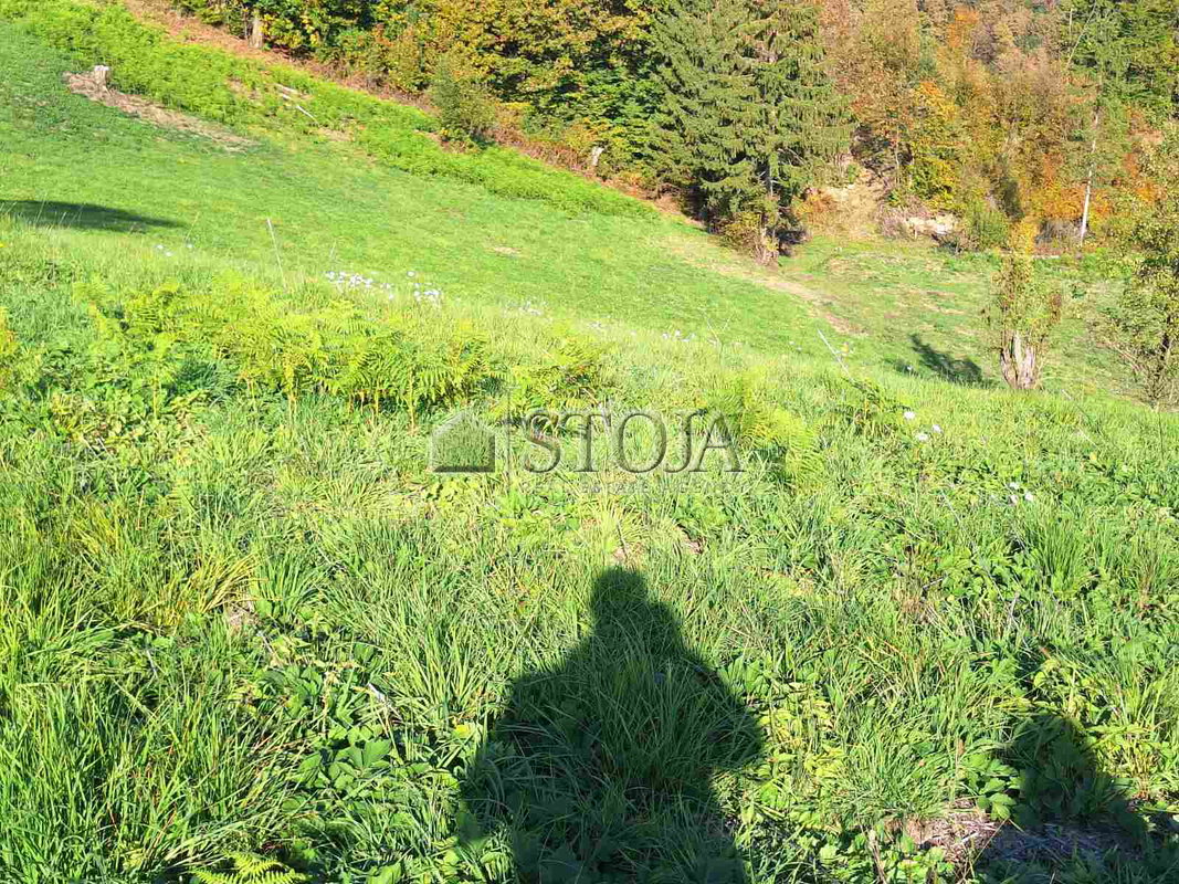 Lokacija: Ljubljana okolica, Dobrova - Polhov Gradec, Dobrova
