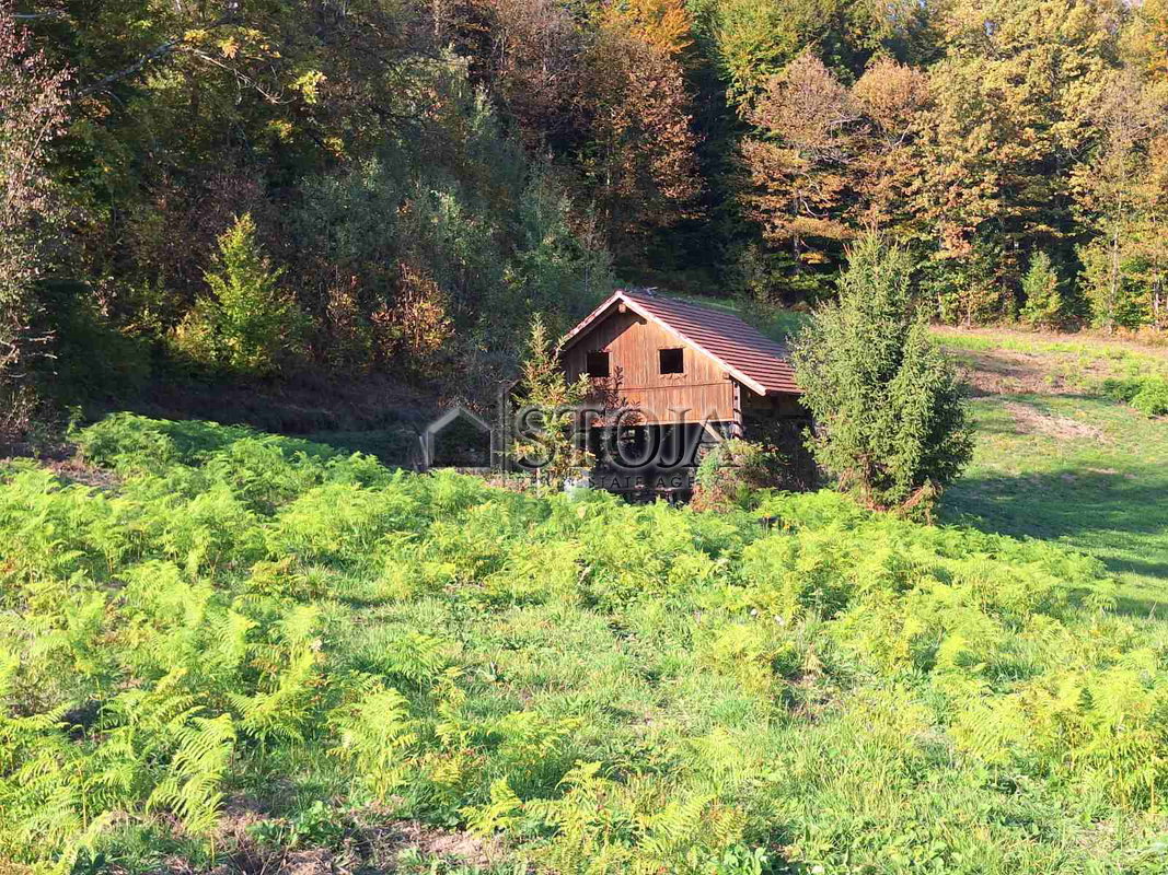 Lokacija: Ljubljana okolica, Dobrova - Polhov Gradec, Dobrova