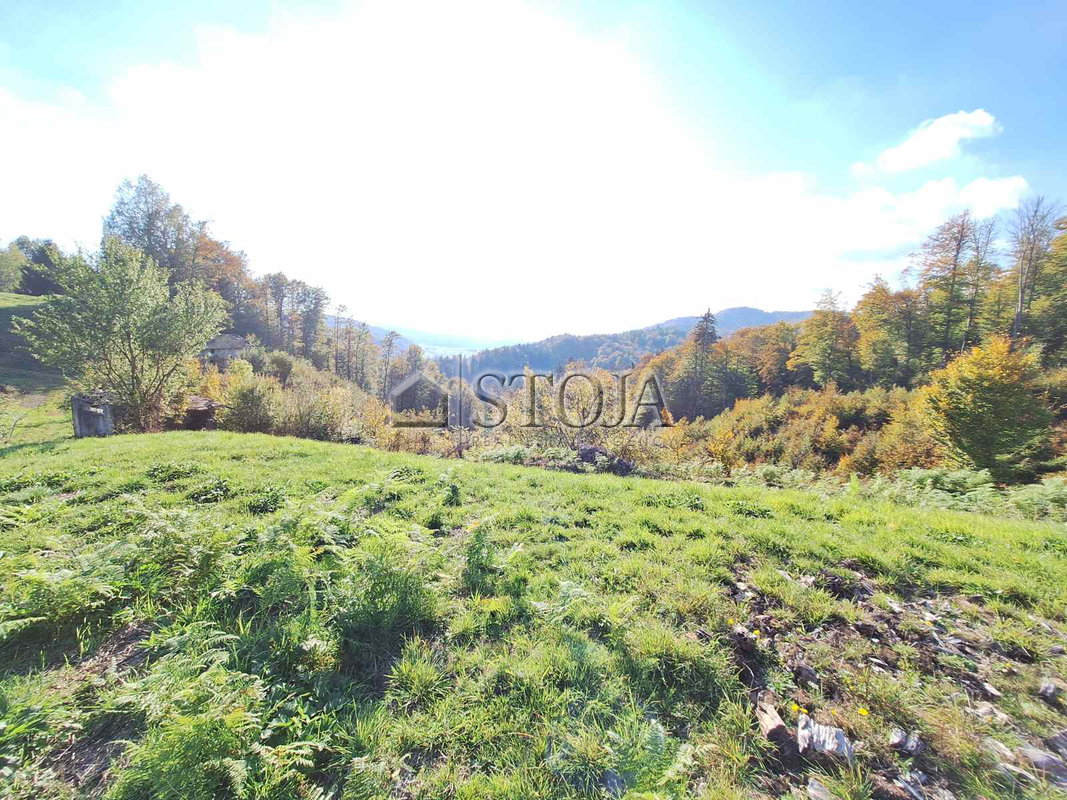 Lokacija: Ljubljana okolica, Dobrova - Polhov Gradec, Dobrova