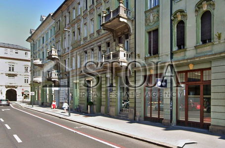 Location: Ljubljana mesto, Center