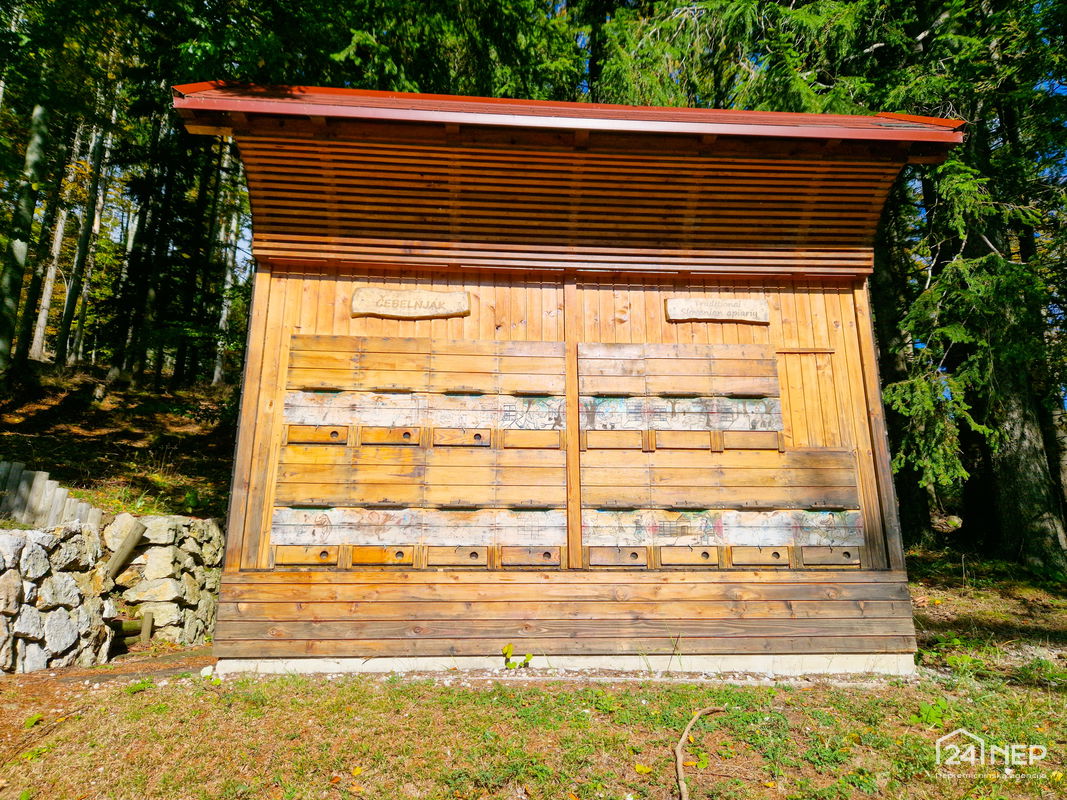 Lokacija: Podravska, Hoče - Slivnica, Hočko pohorje