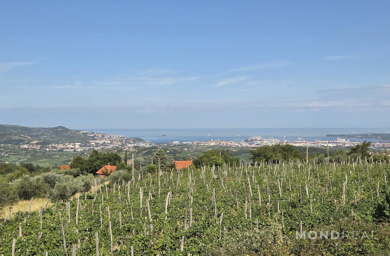 Location: Obalno - kraška, Koper, Marezige